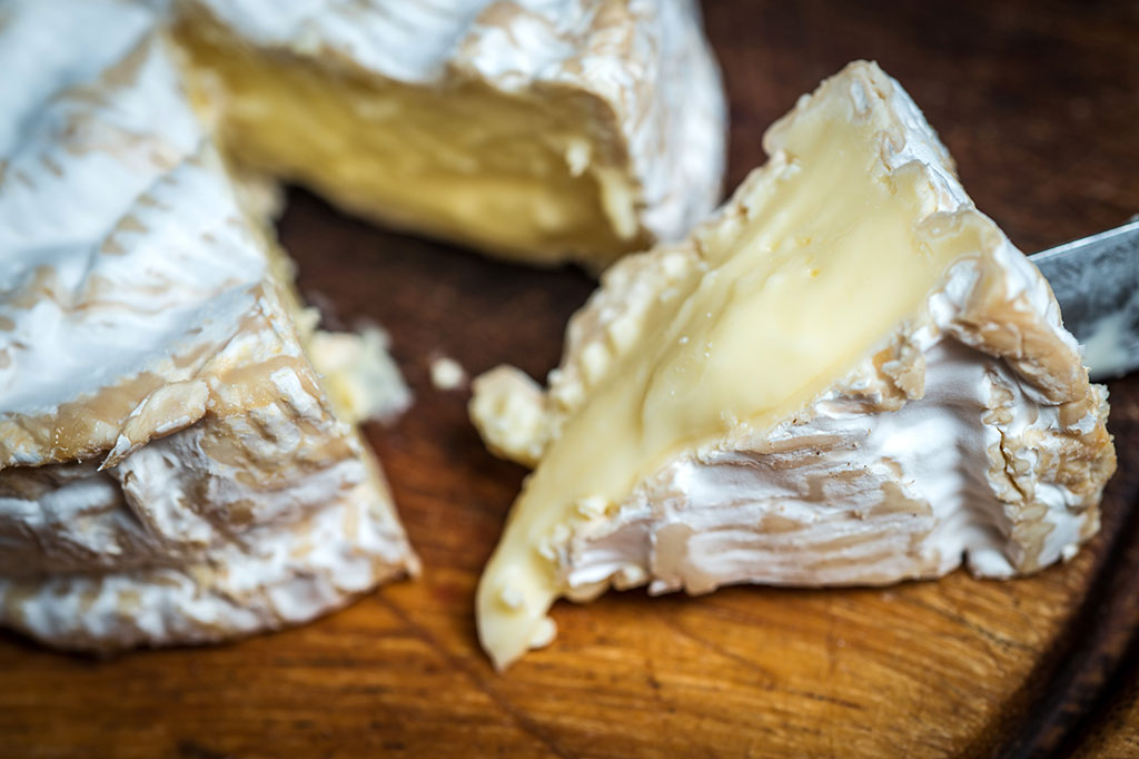 Queijo camembert: um mito culinário no país das delícias Queijo camembert: um mito culinário no país das delícias
