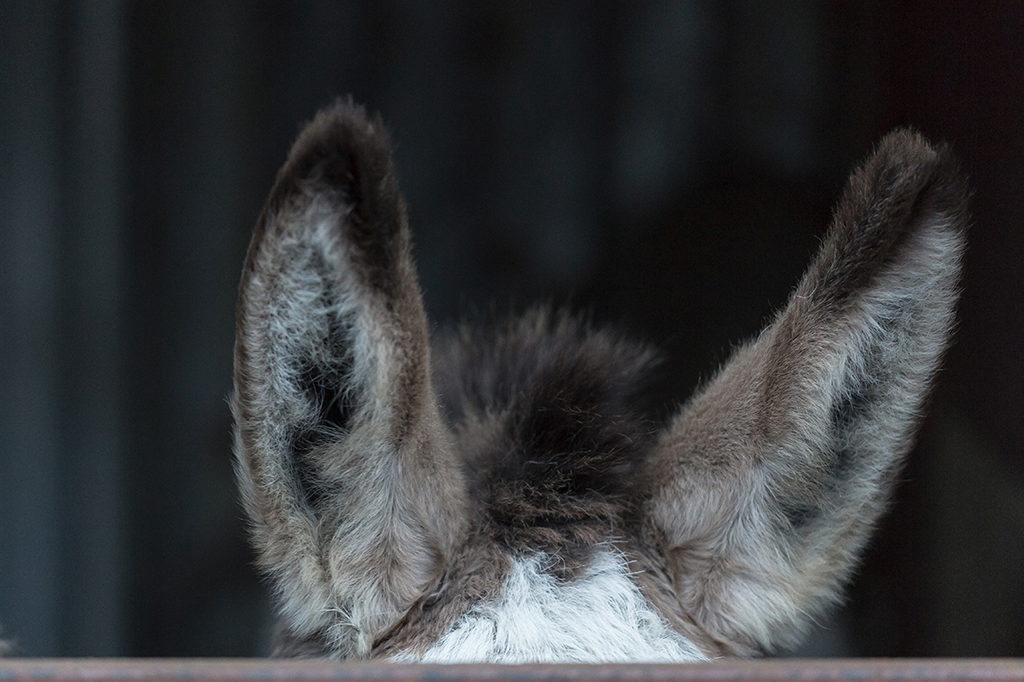4 ações que te deixam mais burro, segundo a ciência