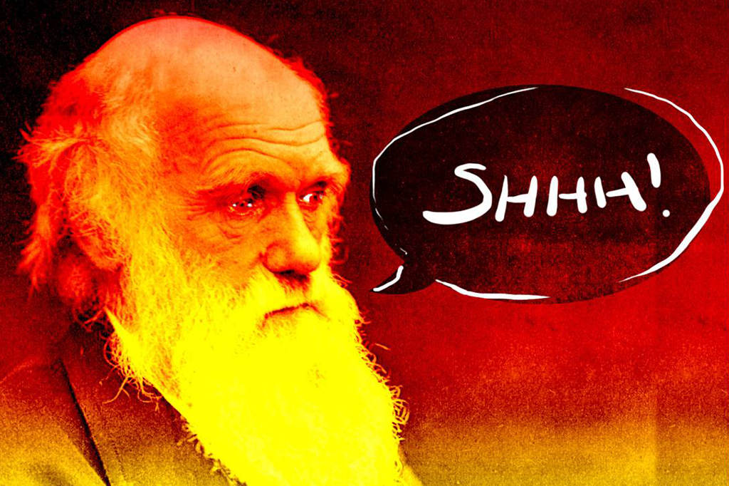 5 coisas que as pessoas precisam parar de dizer sobre a evolução