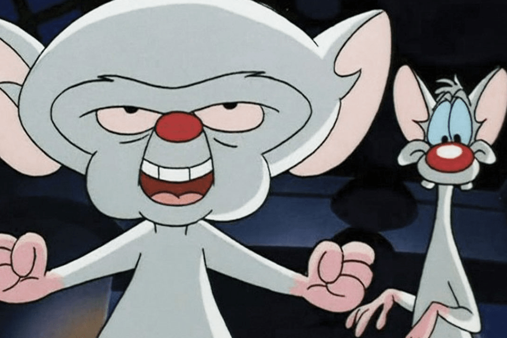 8 sinais de que você é mais inteligente que a média