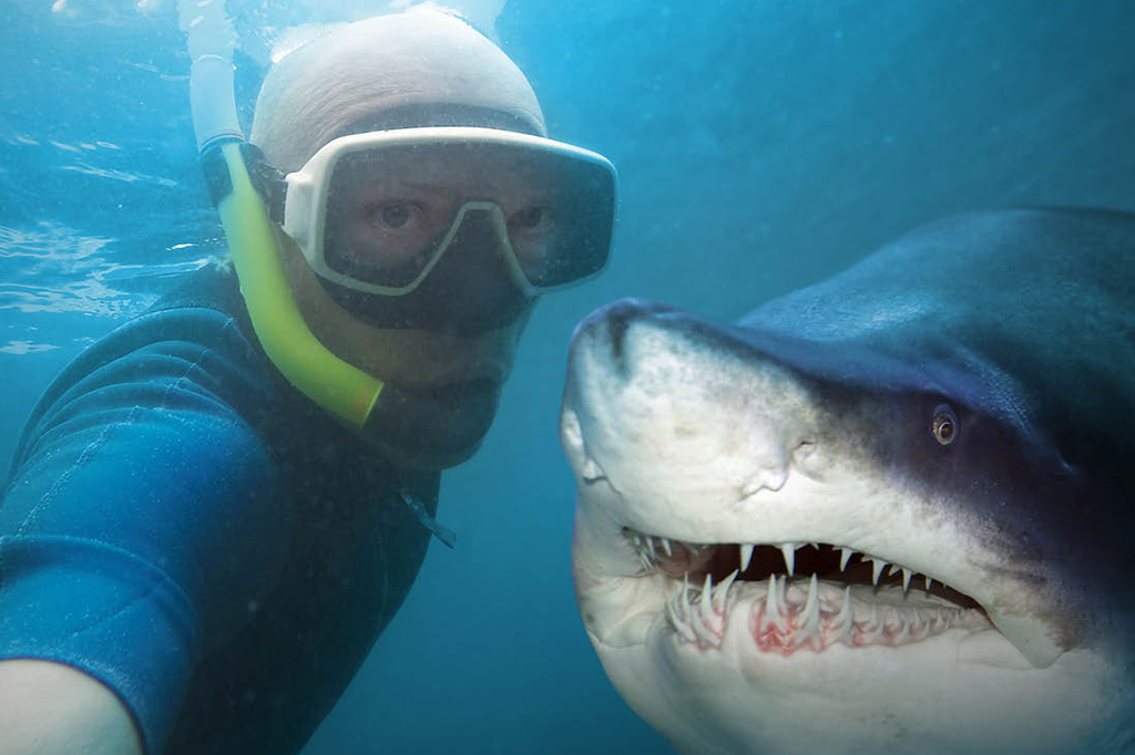 10 selfies que deram muito errado