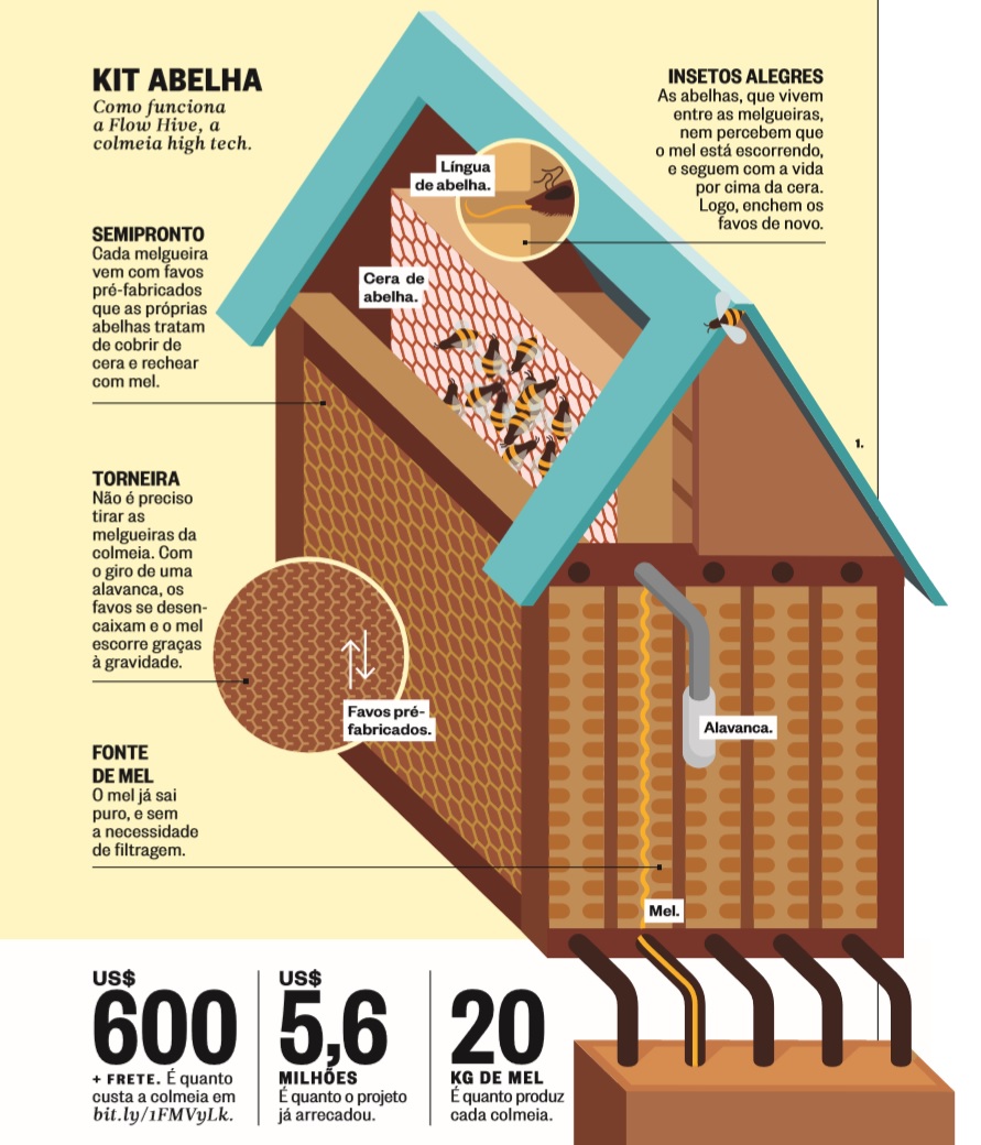 Pela primeira vez, abelhas entram para a lista de espécies em extinção