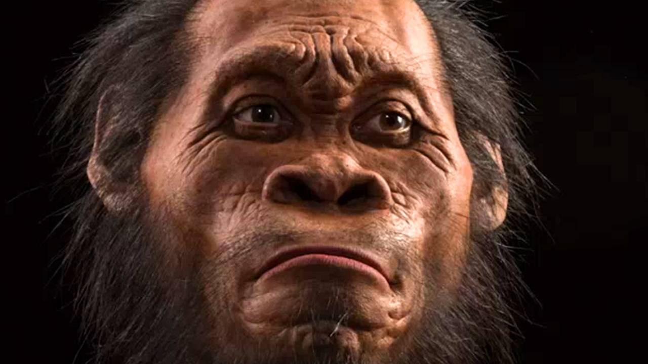 John Gurche / Mark Thiessen / National Geographic