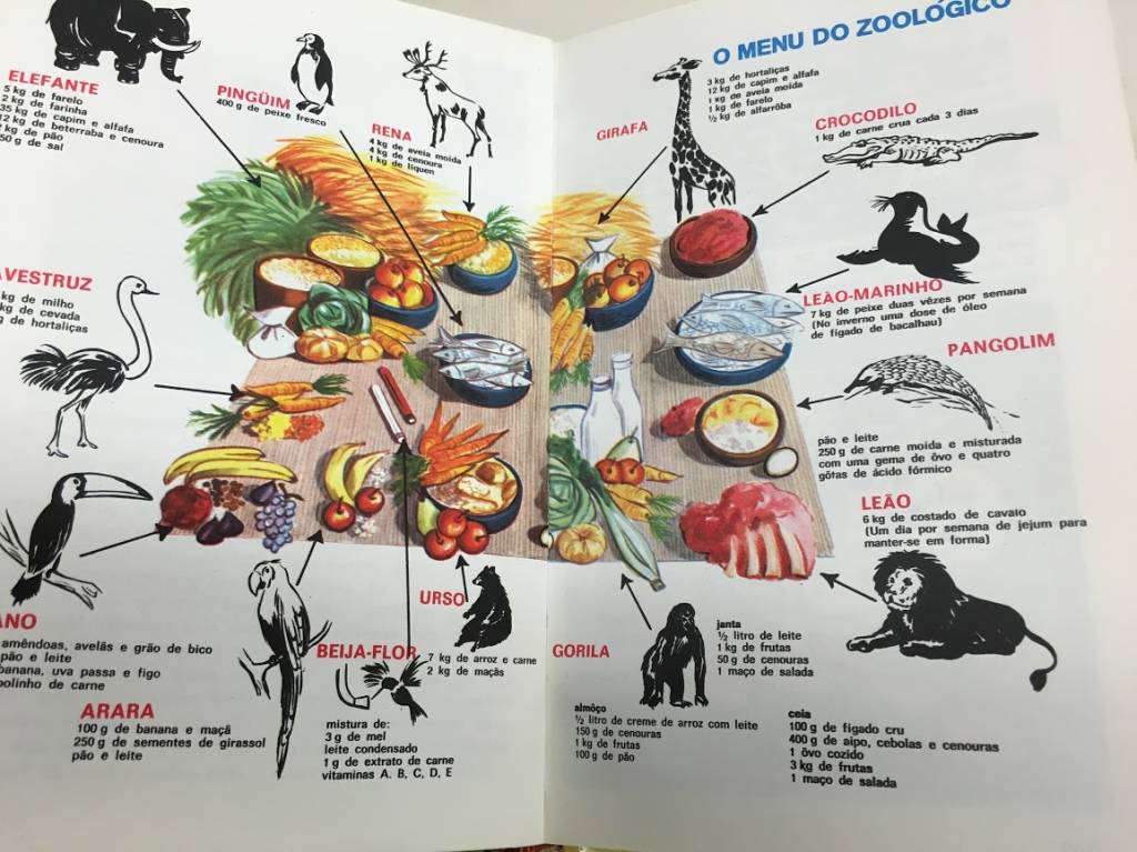 Manual do Escoteiro Mirim Manual do Escoteiro Mirim