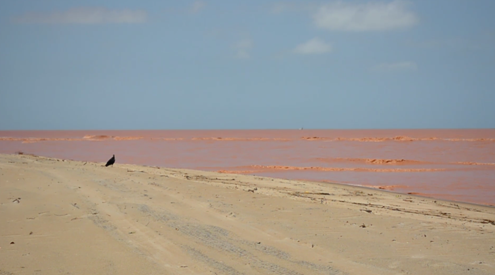 O prejuízo ambiental causado pelo rompimento da Barragem do Fundão #Tragédia do Rio Doce
