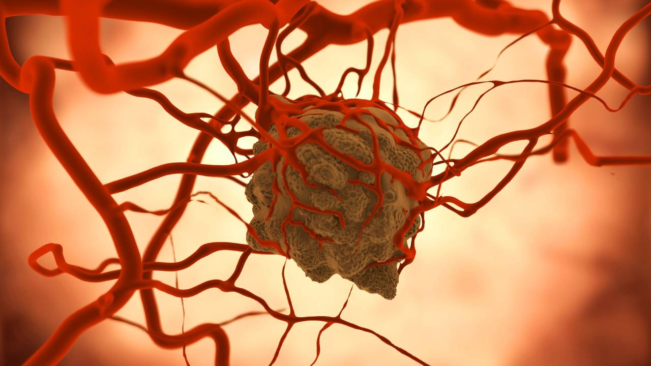 selvanegra | istock.com