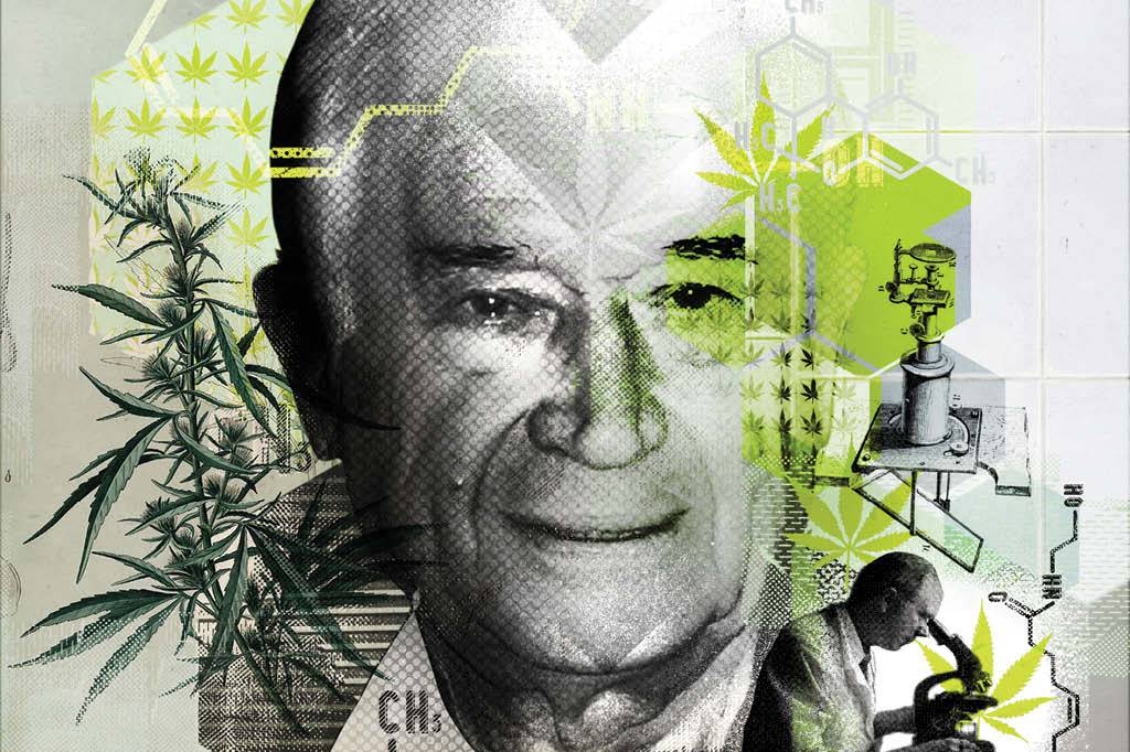 Raphael Mechoulan, o pai do THC