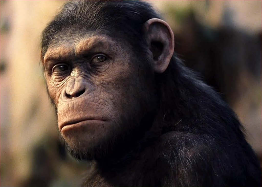 3 notícias de ciência que marcaram a semana – #Supernovas