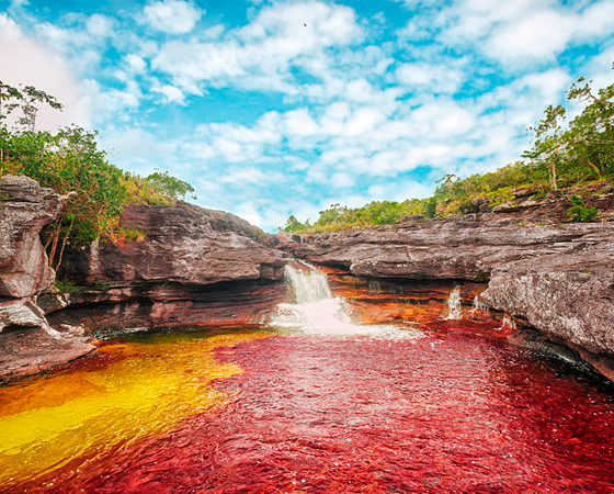 Caño Cristales