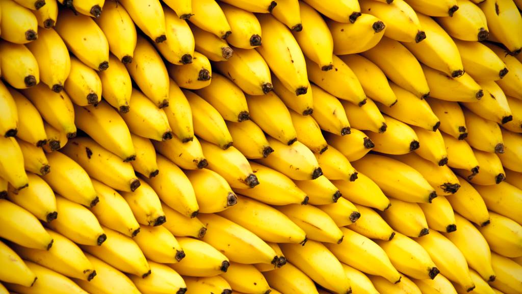 3 notícias de ciência que marcaram a semana – #Supernovas