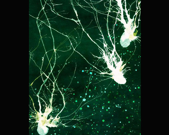 Para fazer as pinturas, ele usa algumas técnicas diferentes, como soprar tinta derramada em um pedaço de papel ou usar seringas com a tinta. Ela segue o caminho em que encontra menor resistência, assim como um neurônio faz, explica. Para fazer as pinturas, ele usa algumas técnicas diferentes, como soprar tinta derramada em um pedaço de papel ou usar seringas com a tinta. Ela segue o caminho em que encontra menor resistência, assim como um neurônio faz, explica.