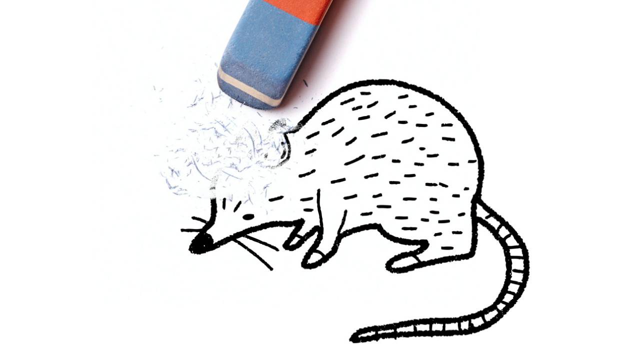 iStock