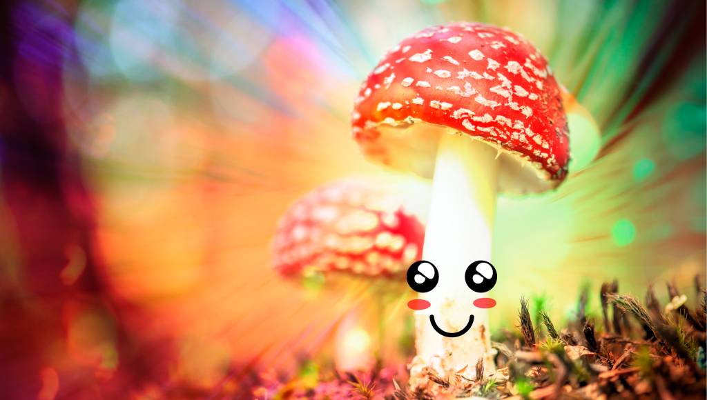 Cogumelos alucinógenos podem curar depressão