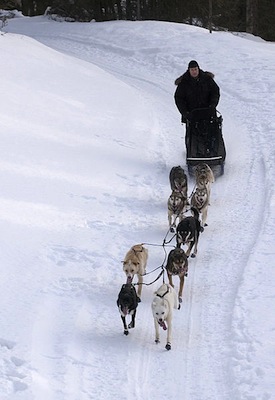 IDITAROD TRAIL SLED DOG RACE <BR>