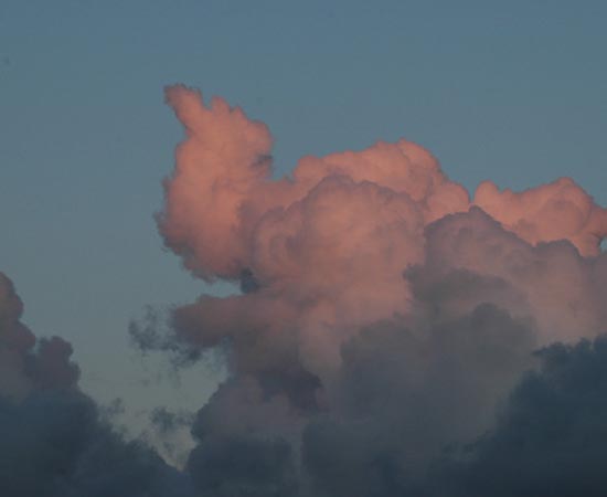 Já este elefante rosado brinca no céu da Holanda.