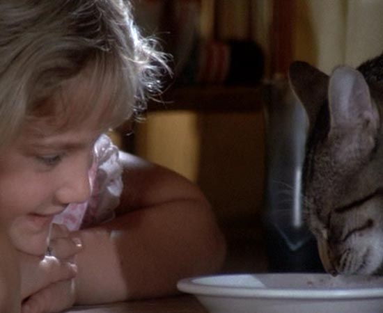 OLHOS DE GATO (Cats Eye - 1985) - Um gato misterioso interliga três histórias de terror. Enquanto uma menina é aterrorizada por um monstro, um homem descobre que parar de fumar vai ser um grande pesadelo, e um jogador de tênis é forçado a participar de uma disputa mortal. O roteiro é inspirado em dois contos de Stephen King e em um texto original do autor. OLHOS DE GATO (Cats Eye - 1985) - Um gato misterioso interliga três histórias de terror. Enquanto uma menina é aterrorizada por um monstro, um homem descobre que parar de fumar vai ser um grande pesadelo, e um jogador de tênis é forçado a participar de uma disputa mortal. O roteiro é inspirado em dois contos de Stephen King e em um texto original do autor.