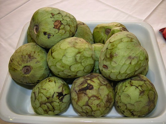 Esta é a chirimoya, uma fruta de origem andina, tem a casca verde e áspera, polpa branca e sabor que mistura o ácido e o doce. Esta é a chirimoya, uma fruta de origem andina, tem a casca verde e áspera, polpa branca e sabor que mistura o ácido e o doce.