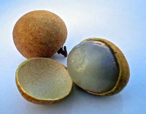 Também conhecida como Olho do Dragão, essa fruta asiática chamada longan é semelhante à lichia. Mas menor.