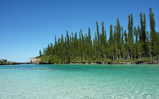 A Nova Caledônia é um território francês que fica a 1500 quilômetros a leste da Austrália. Embora as ilhas sejam pequenas, a área marítima protegida é enorme: maior do que o estado americano do Alaska. A Nova Caledônia é um território francês que fica a 1500 quilômetros a leste da Austrália. Embora as ilhas sejam pequenas, a área marítima protegida é enorme: maior do que o estado americano do Alaska.