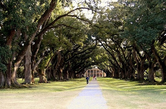 Outro lugar que já apareceu em diversos filmes e clipes é Oak Alley, que fica em Louisiana, nos Estados Unidos.