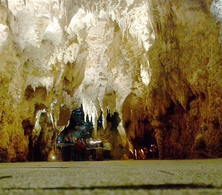 A caverna Waitomo Glowworm fica na Ilha Norte da Nova Zelândia. Já era conhecida pelo povo Maori há algum tempo, mas foi só no final de século 19 que foi descoberta pela comunidade científica. A caverna Waitomo Glowworm fica na Ilha Norte da Nova Zelândia. Já era conhecida pelo povo Maori há algum tempo, mas foi só no final de século 19 que foi descoberta pela comunidade científica.