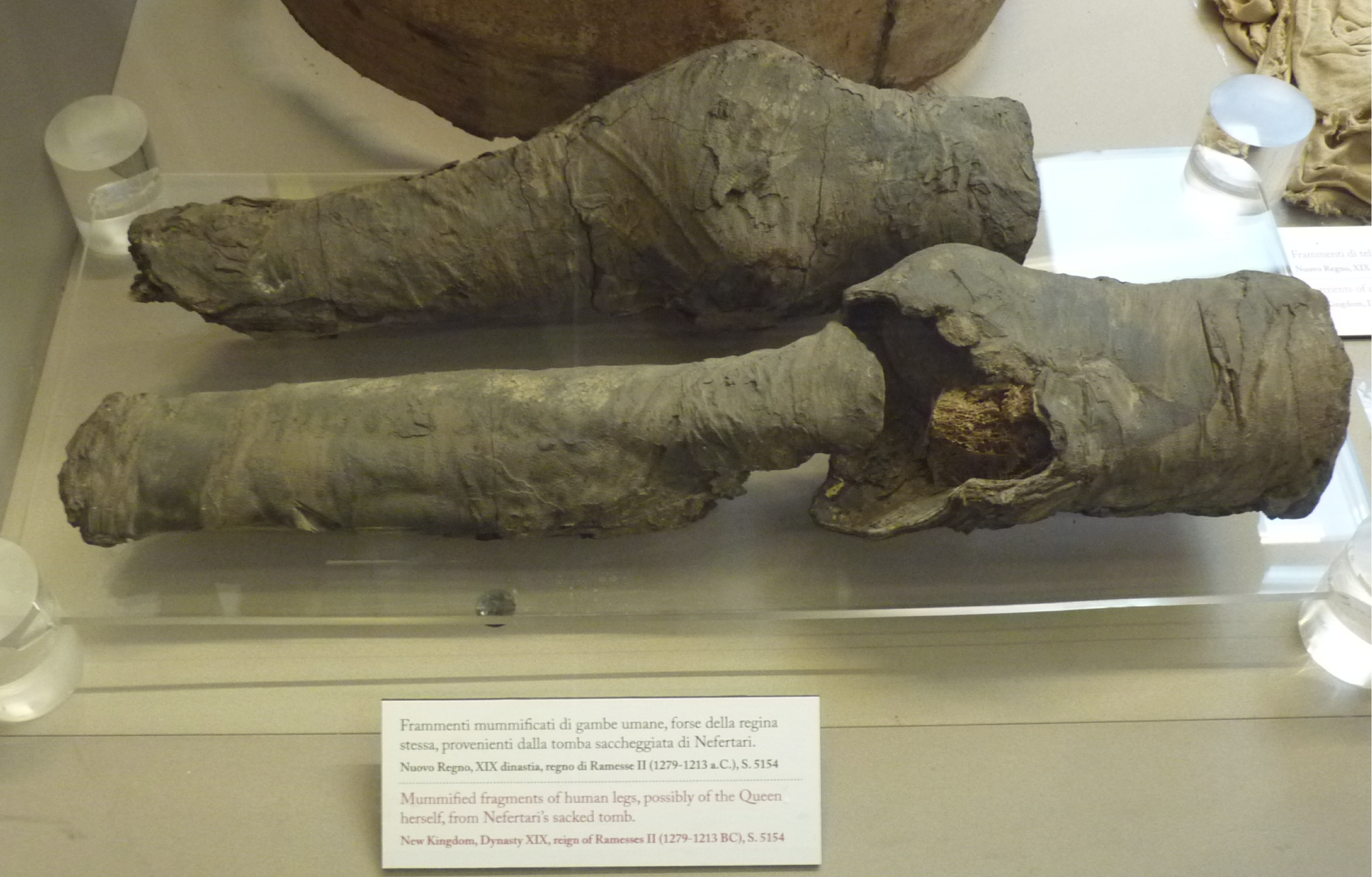 Encontrados os restos da rainha egípcia Nefertari