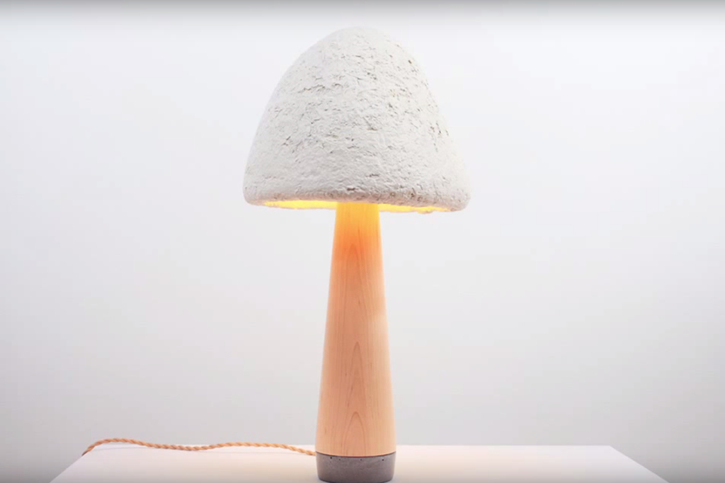 Conheça os móveis feitos de cogumelo