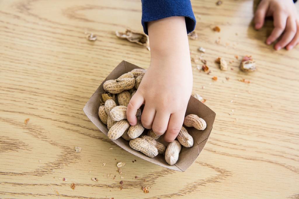 Dar amendoim para bebês pode prevenir alergia no futuro