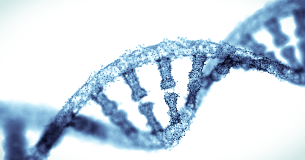 Seus ossos e dentes têm muito mais em comum do que você imagina