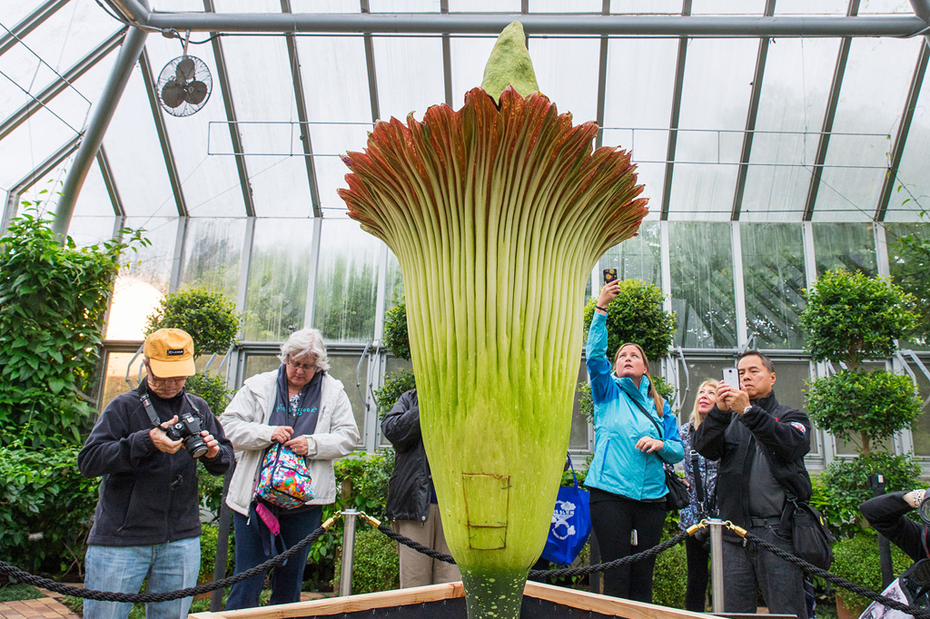 Chicago Botanic Garden