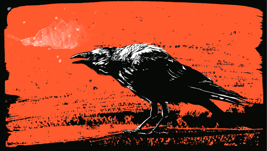 Corvos conseguem lembrar que foram enganados até meses depois