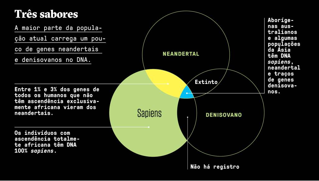 sapiens_box_04