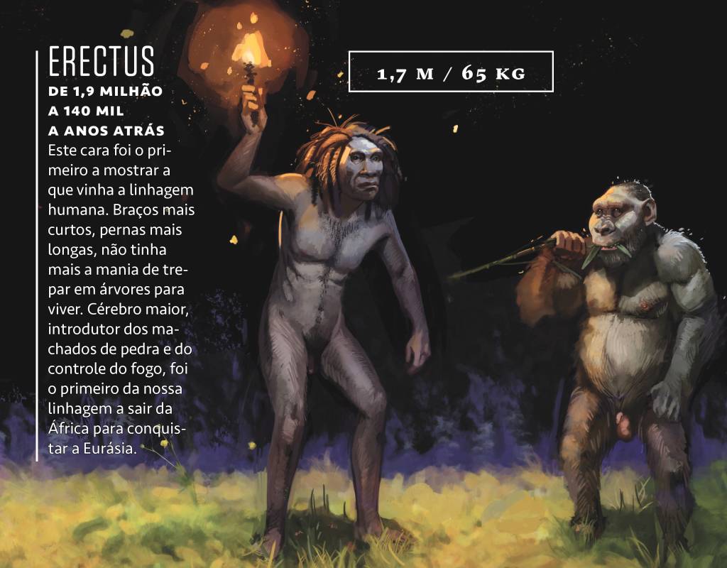 sapiens_fauna_erectus