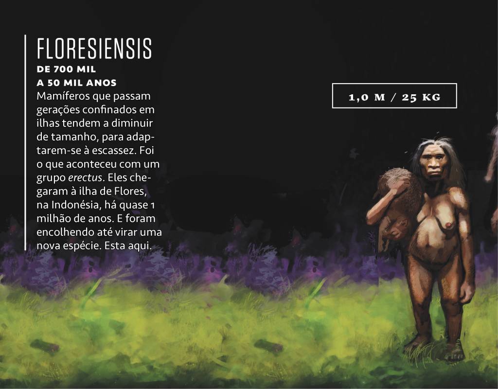 sapiens_fauna_floresiensis