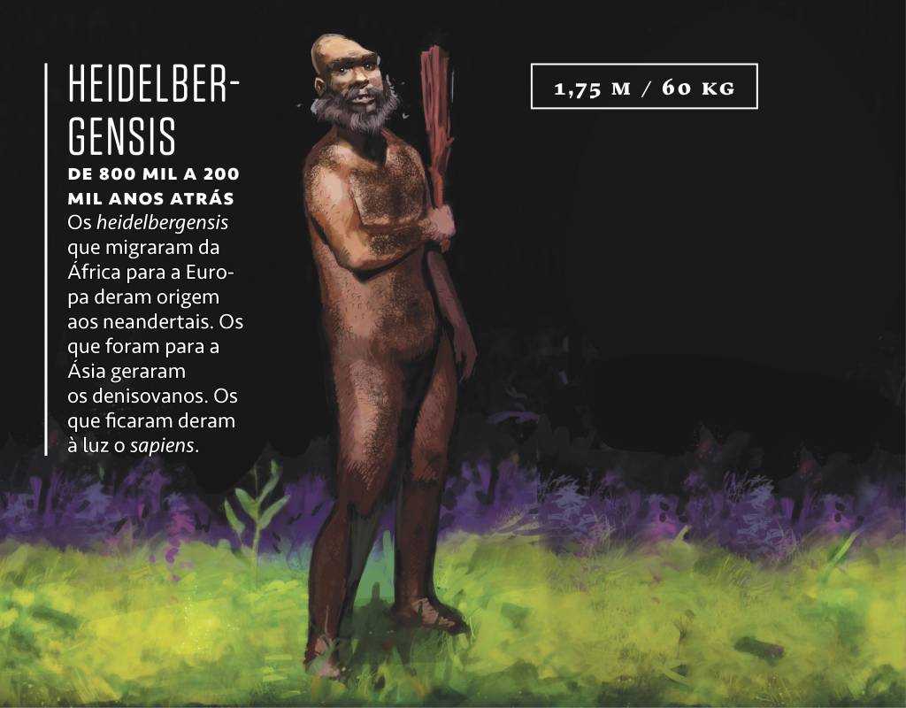 sapiens_fauna_heilderberg