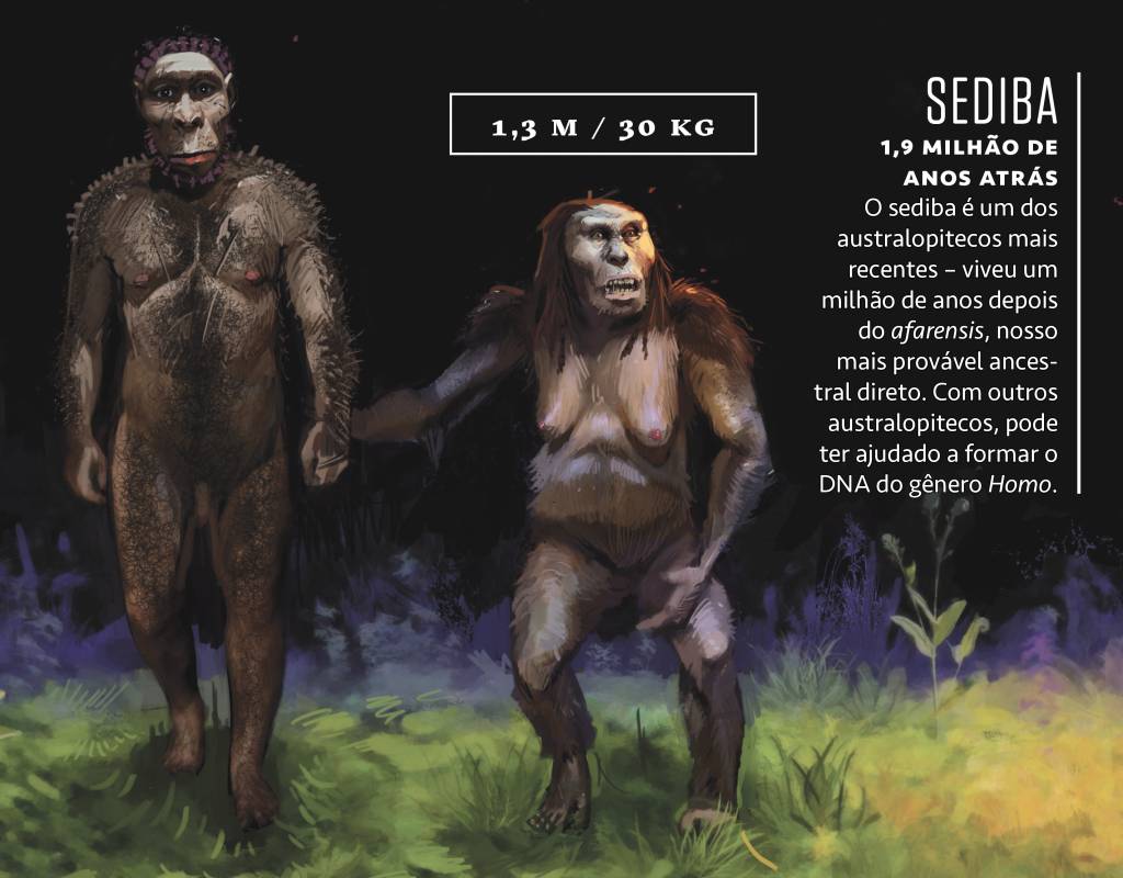 sapiens_fauna_sediba