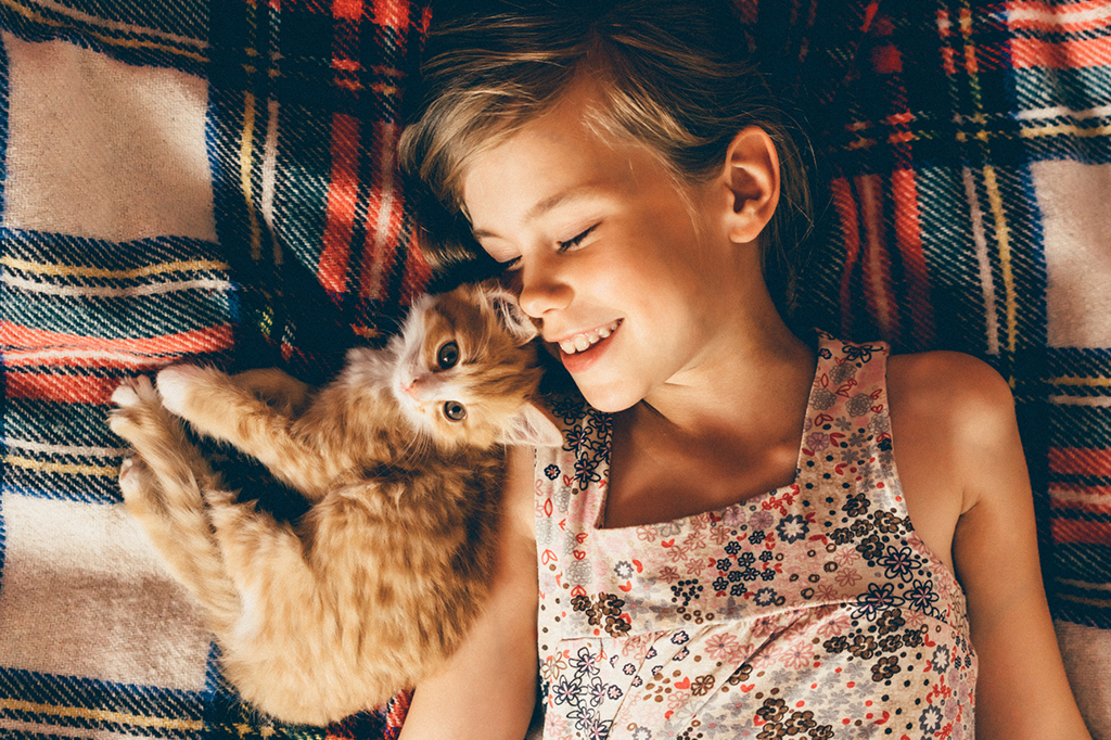 3 notícias de semana que marcaram a semana – #Supernovas