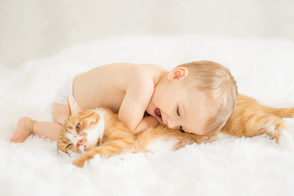 Bebês que convivem com gatos crescem mais resistentes à asma