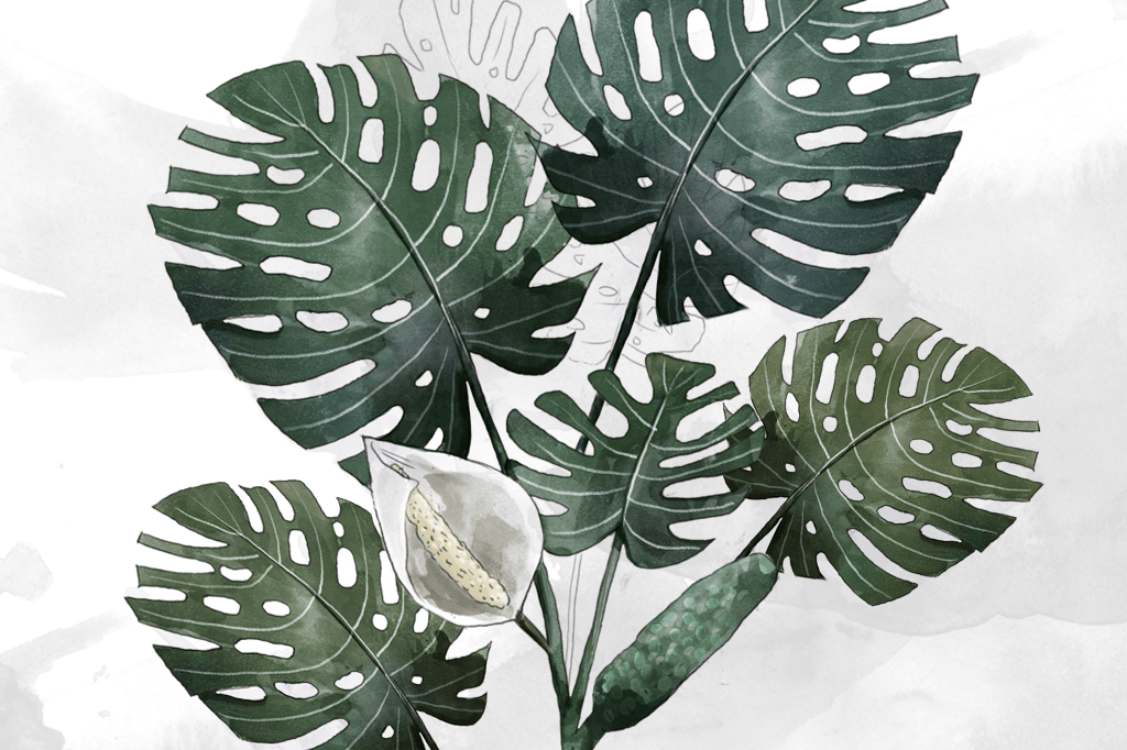 Mato de comer: o que são as plantas alimentícias não-convencionais