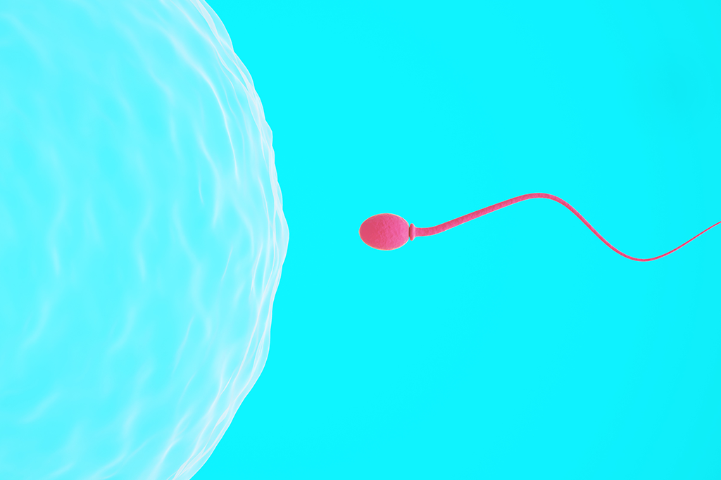 Sêmen humano abriga até 27 tipos de vírus diferentes