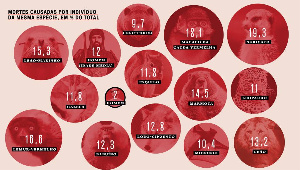 Homem não é o bicho mais assassino do mundo