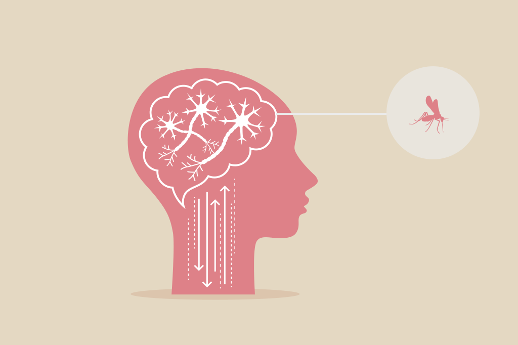 Vírus da zika mata células de câncer no cérebro