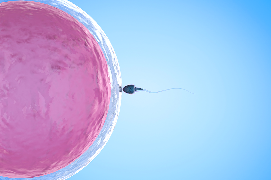 9 perguntas e respostas sobre fertilidade