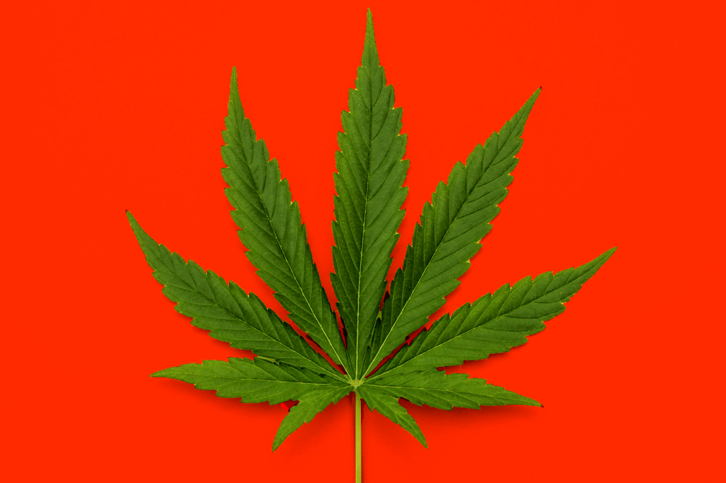 Quem fuma maconha faz 20% mais sexo, diz estudo