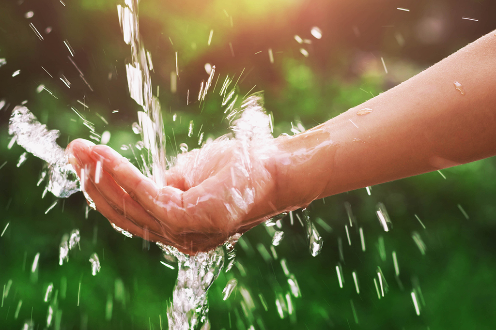 Como economizar água em casa