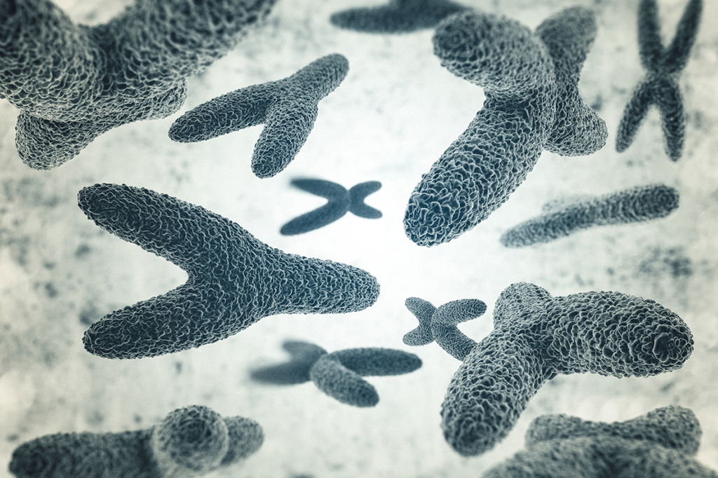 SI_Site_Retro2017_Descobertas_DNA-XY