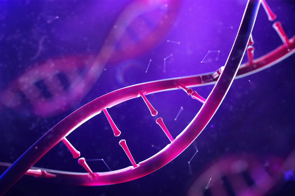 Cientistas descobrem função de parte misteriosa do “DNA lixo”