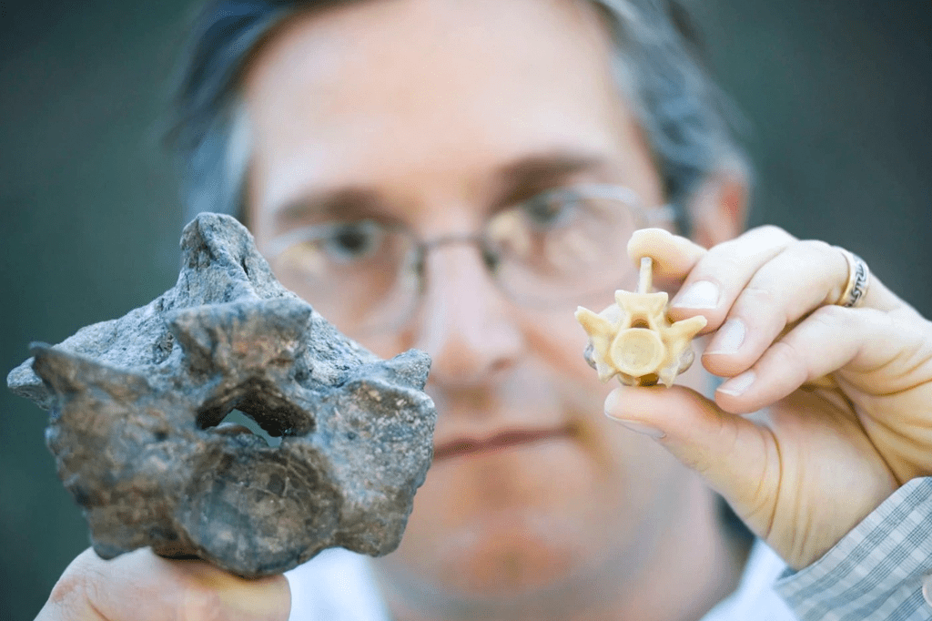 Esta cobra pré-histórica era do tamanho de um ônibus escolar