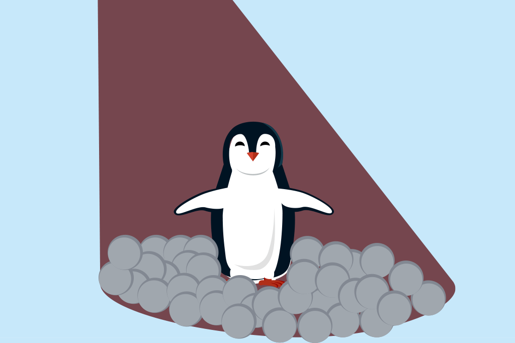 Não é só o ser humano: pinguins também se prostituem