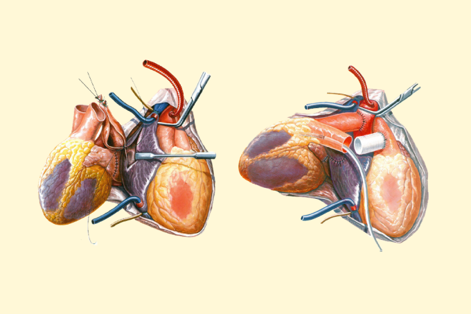 3 notícias de ciência que marcaram a semana – SUPERNOVAS